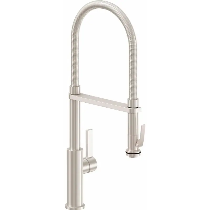 Culinary Pull-Out Kitchen Faucet with Squeeze Sprayer