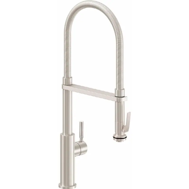 Culinary Pull-Out Kitchen Faucet with Squeeze Sprayer