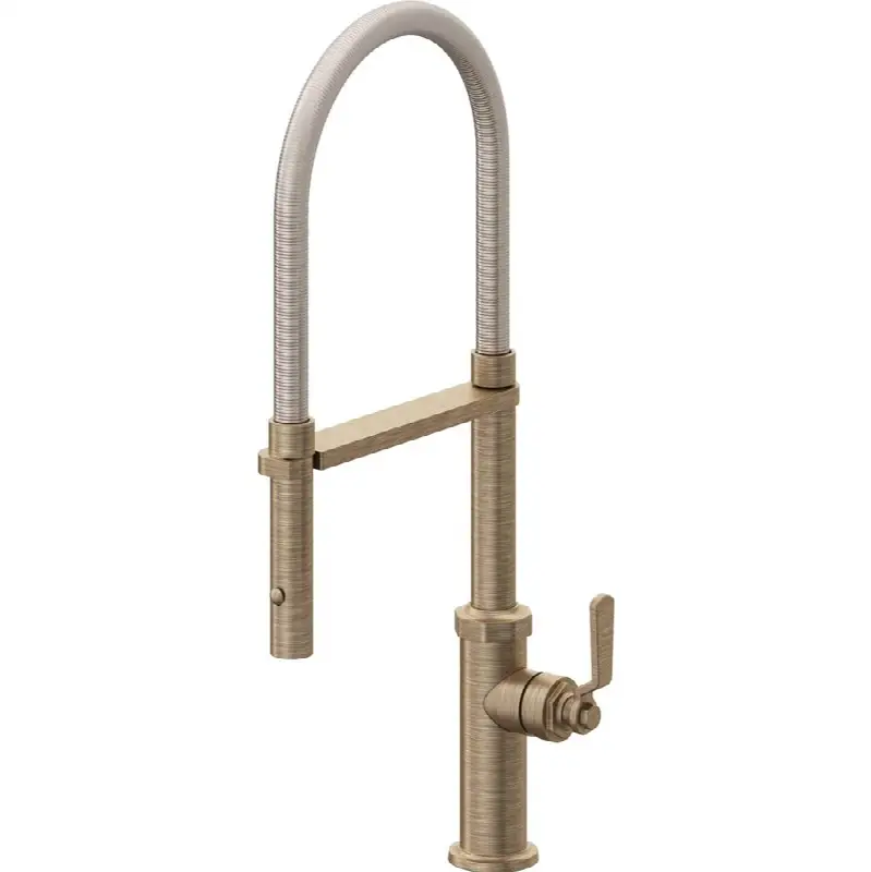 Culinary Pull-Out Kitchen Faucet with Button Sprayer