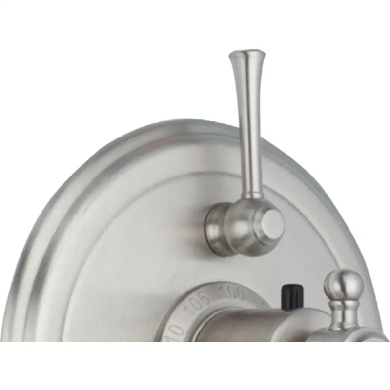 Traditional StyleTherm® Optional ADA Compliant Volume Control Lever