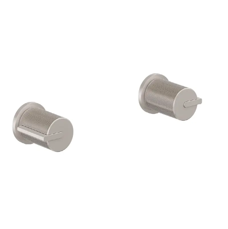 2 Handle Tub and Shower Trim Only