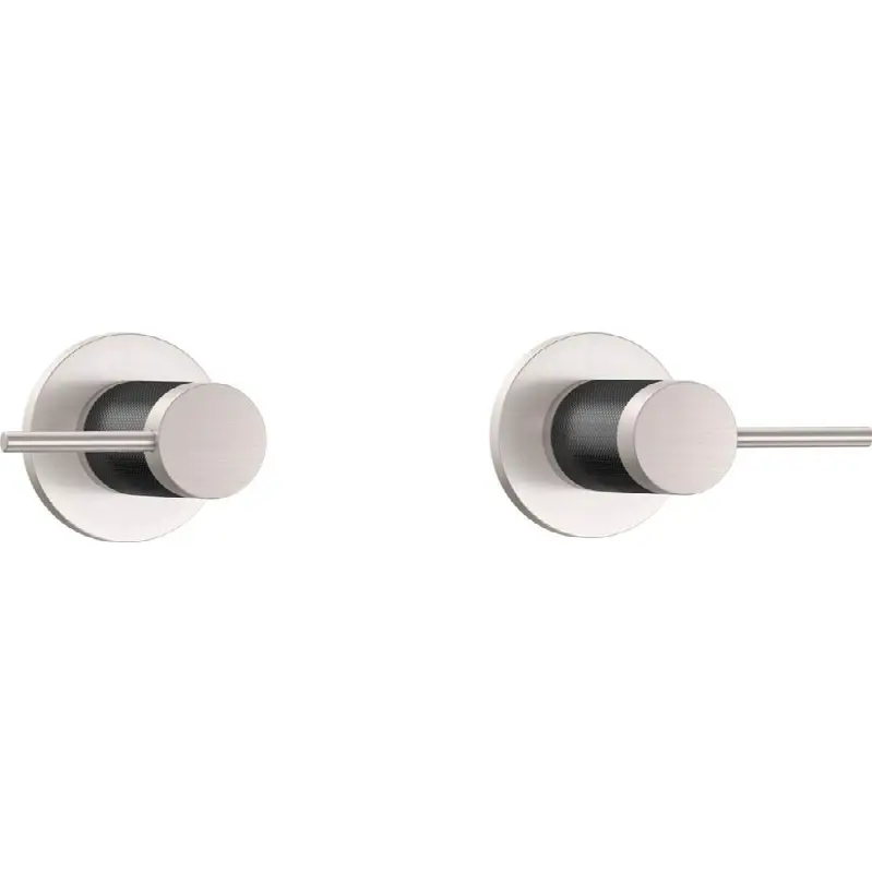 2 Handle Tub and Shower Trim Only