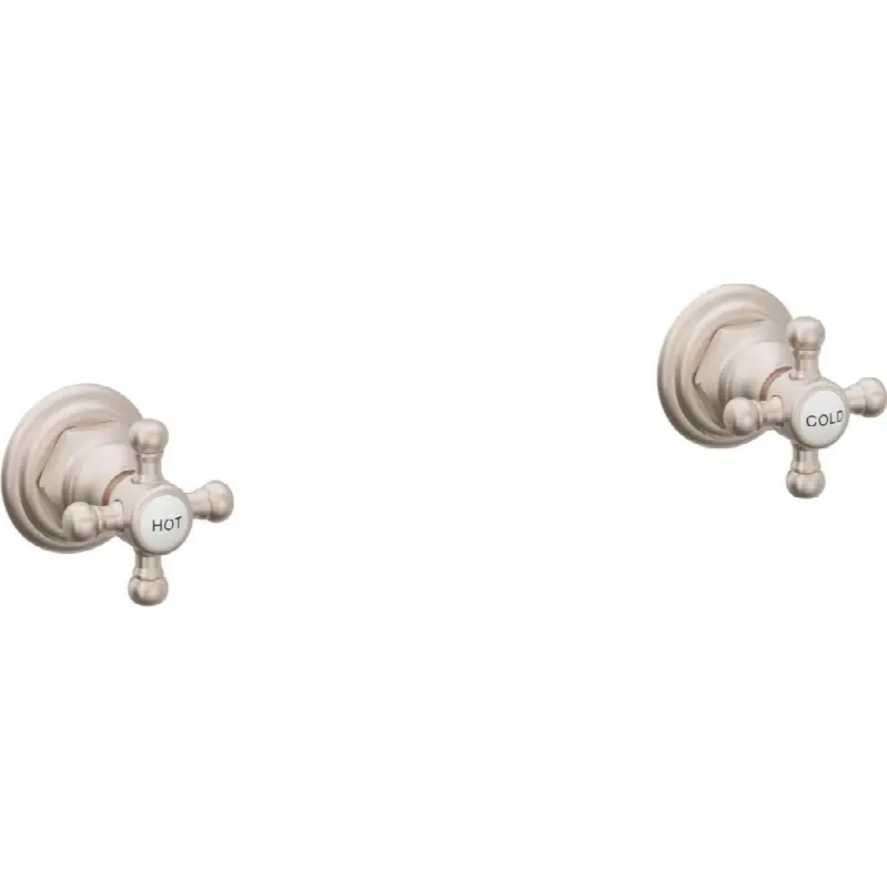 2 Handle Tub and Shower Trim Only