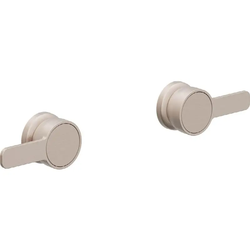 2 Handle Tub or Shower Trim Only
