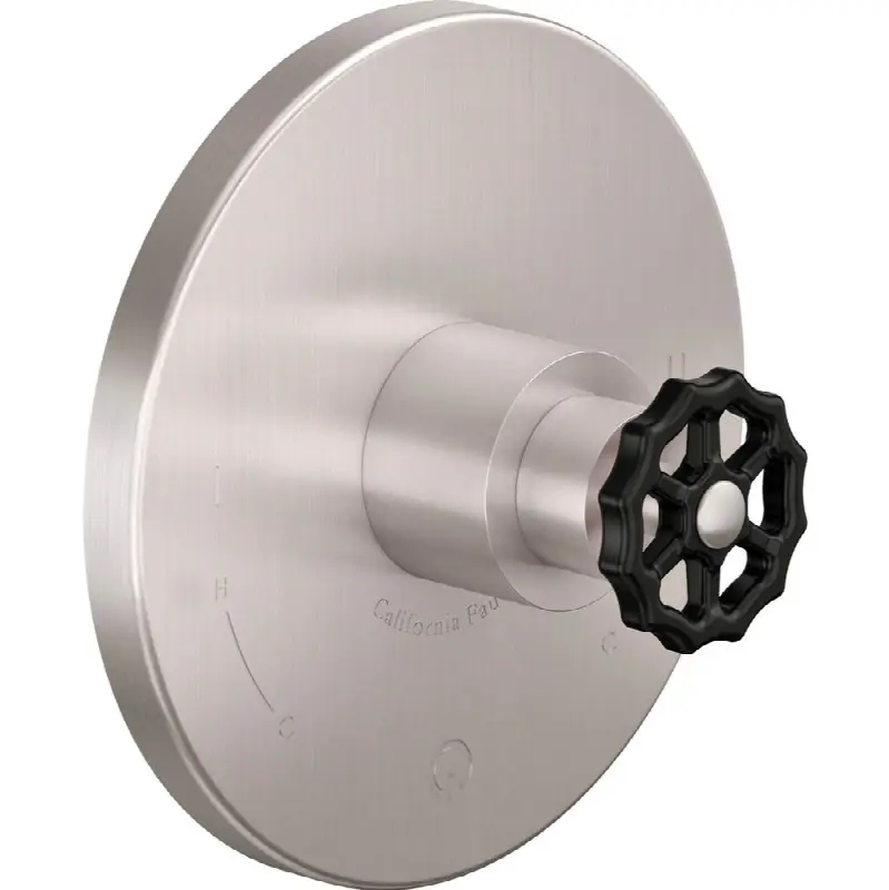 Dual Pressure Balance Trim Only