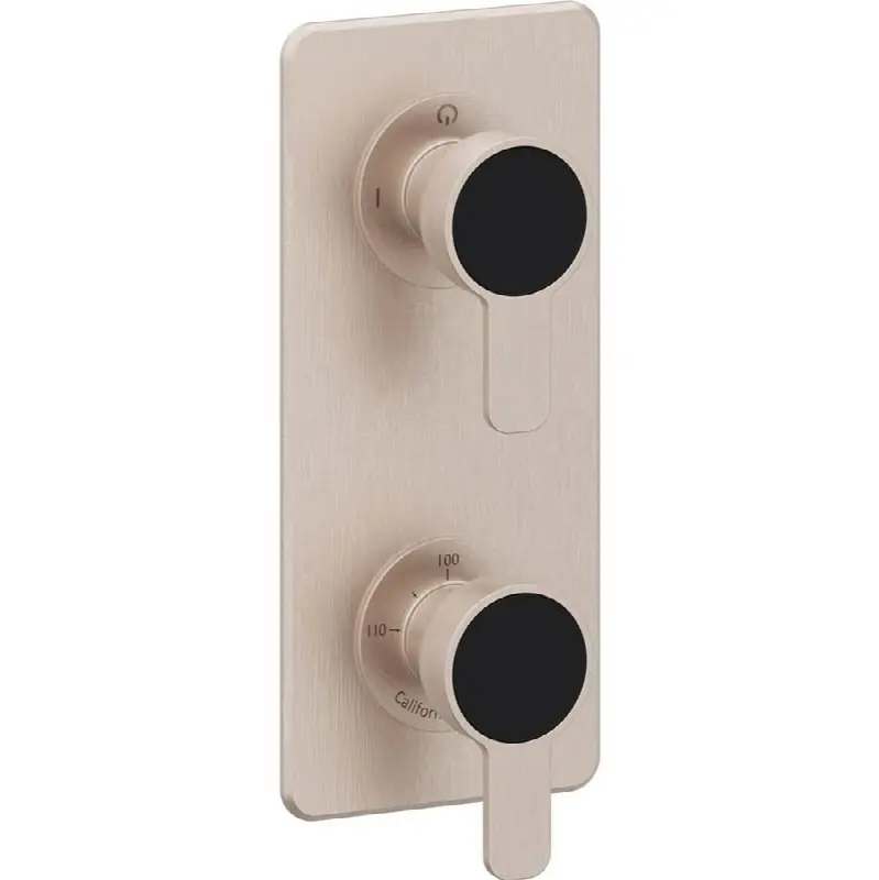 StyleTherm Vista™ Trim Only with Two Outlet Control