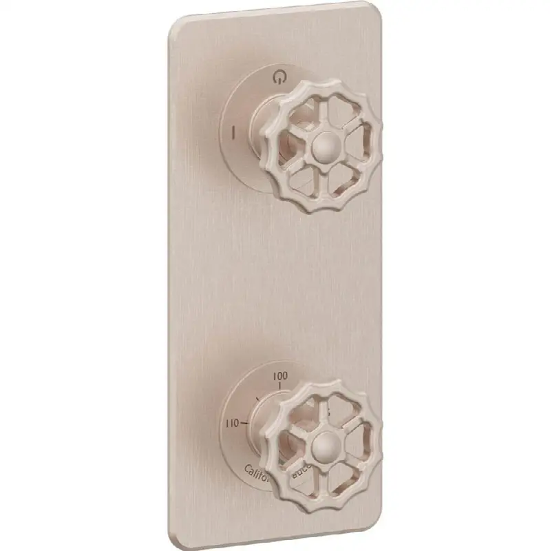 StyleTherm Vista™ Trim Only with Two Outlet Control