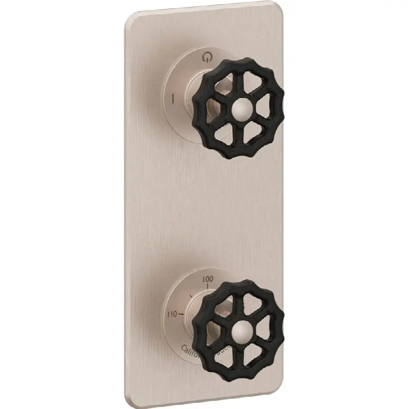 StyleTherm Vista™ Trim Only with Two Outlet Control