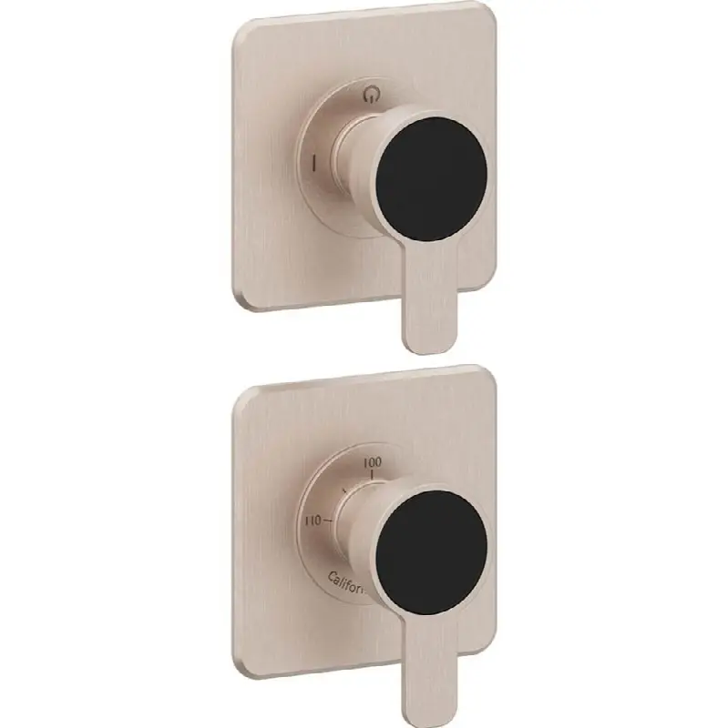 StyleTherm Vista™ Trim Only with Two Outlet Control