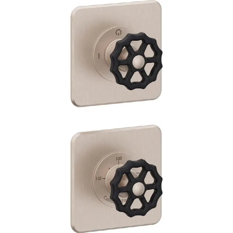 StyleTherm Vista™ Trim Only with Two Outlet Control