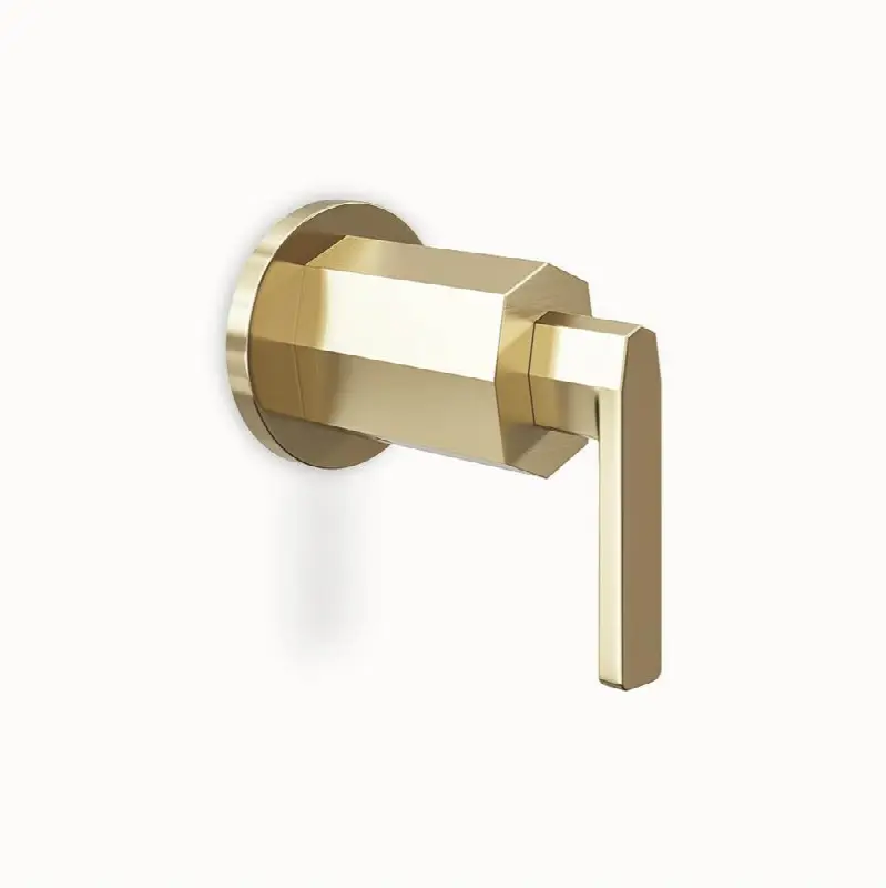 Heir Volume Control/Diverter Trim