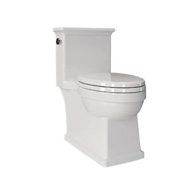 Heir One-Piece Single-Flush
