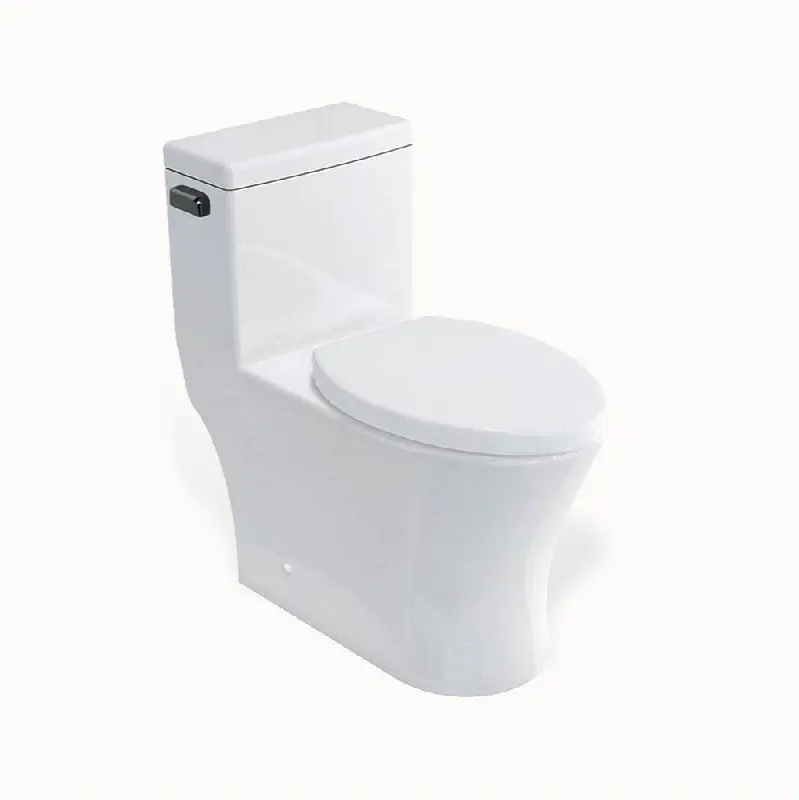 MPRO One-piece Single-flush Toilet