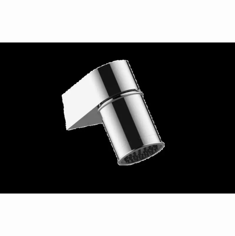 Wall-Mount Traditional Showerhead