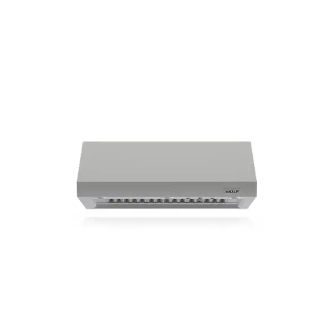 48" Outdoor Pro Wall Hood