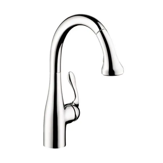 Allegro E Gourmet HighArc Kitchen Faucet, 2-Spray Pull-Down, 1.75 GPM