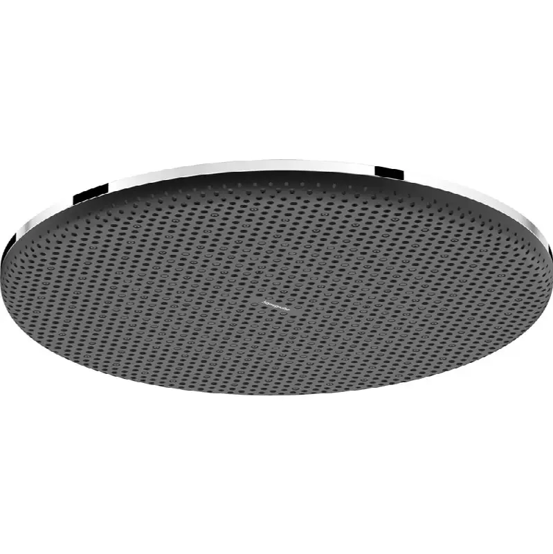 Raindance Alive S Showerhead 300 1-Jet, 1.75 GPM