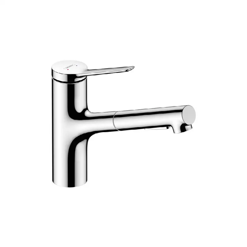 Zesis Kitchen Faucet 2-Spray, Pull-Out, 1.75 GPM