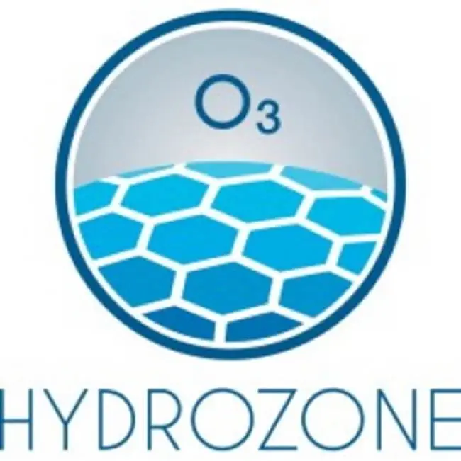 Hydrozone