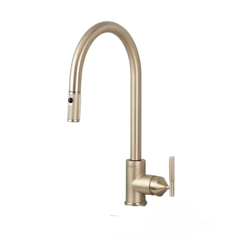 Kitchen Faucet / Pull-Out With Dual Spray / Linear / Brass