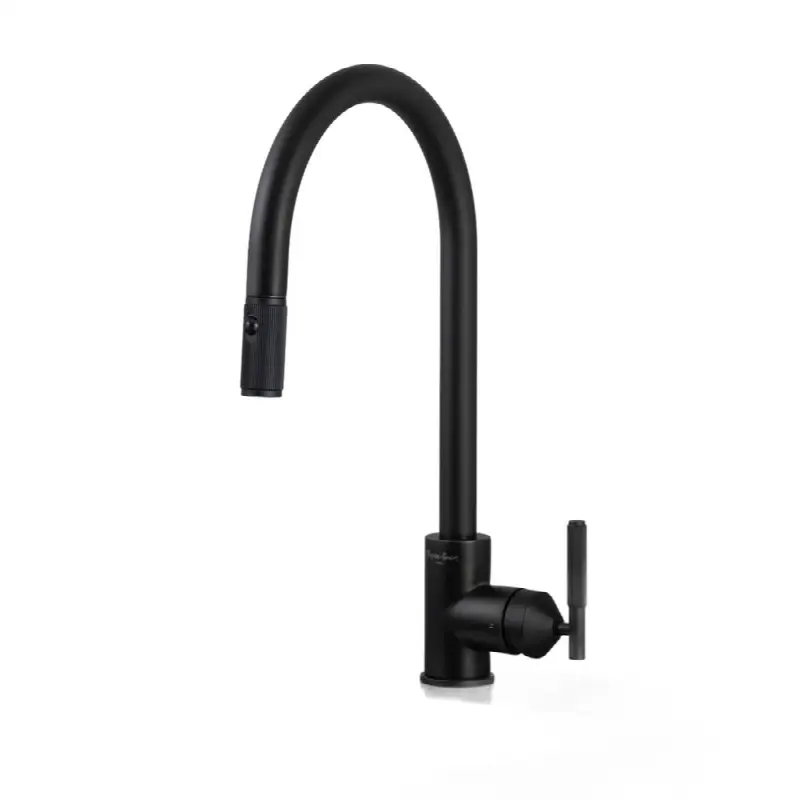 Kitchen Faucet / Pull-Out With Dual Spray / Linear / Welders Black