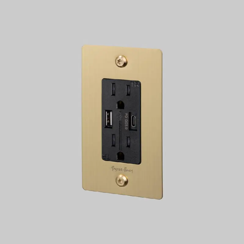 1G Duplex Outlet / USB A plus C / Linear / With Logo / Brass