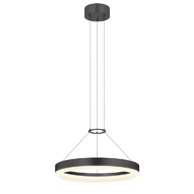 16" LED Ring Pendant