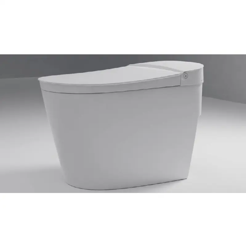 Tankless Toilet with rrimless Flush, Auto Flush, Night Light & Heated Seeat