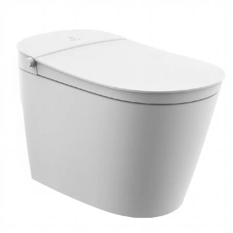 Tankless Intelligent Bidet Toilet less Auto Open Feature
