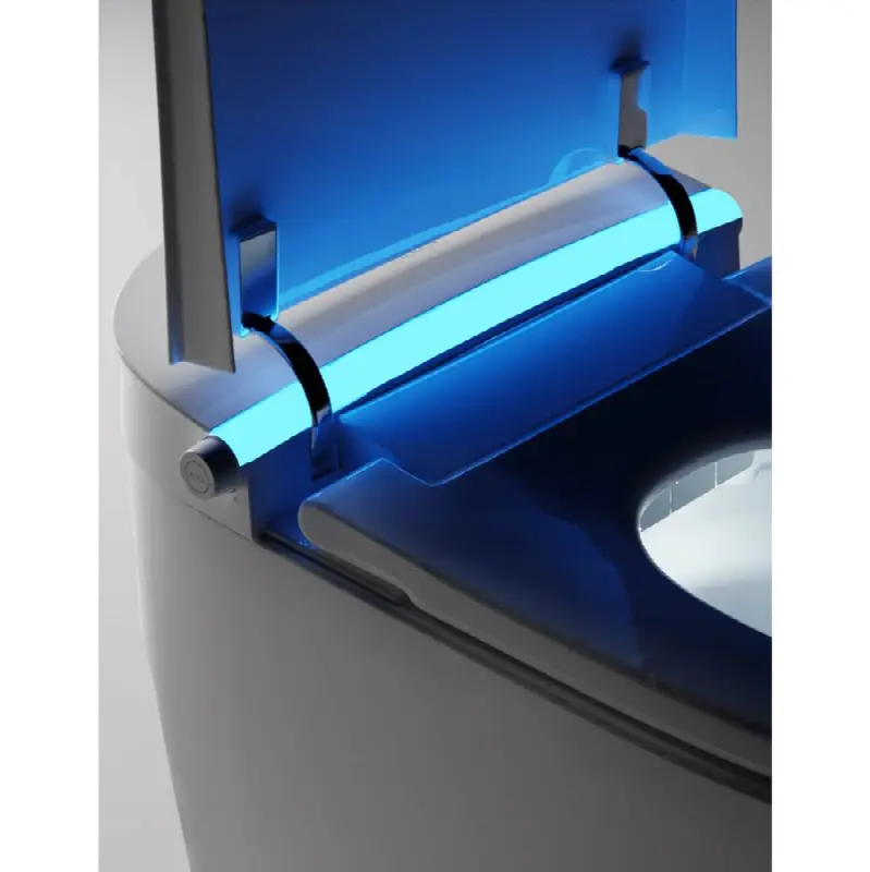 Tankless Intelligent Bidet Toilet w/Auto Open Seat & Multi Color Light Strip