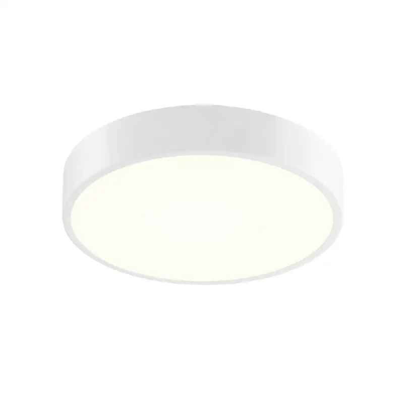 12" LED Surface Mount
