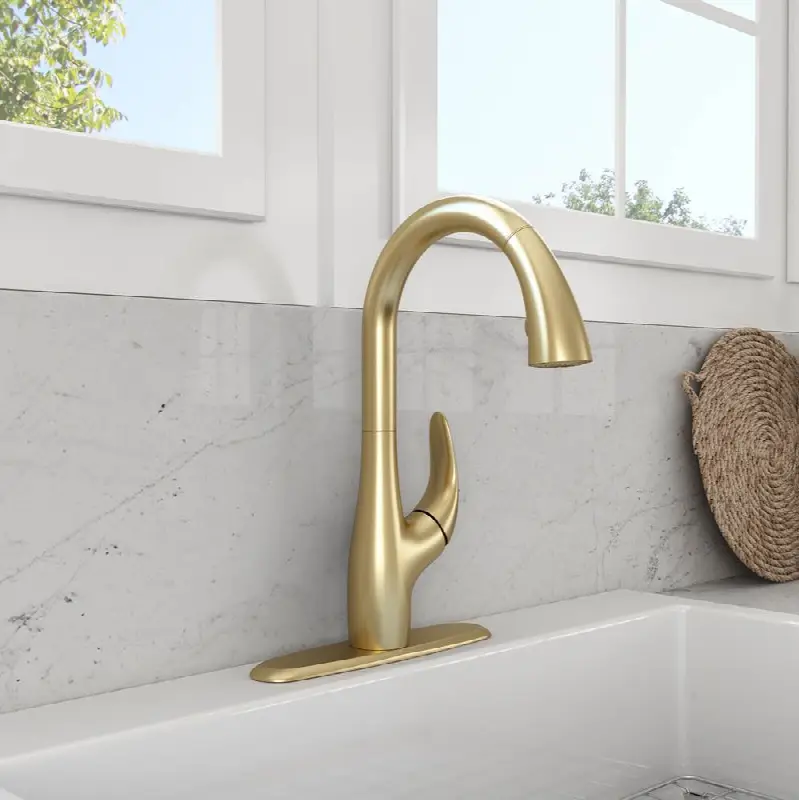 Pagano 2.0 Pull-Down Kitchen Faucet