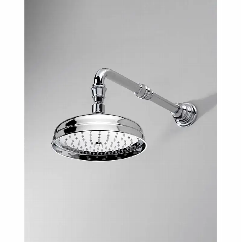 Rub Clean Shower Rose - Satin Nickel