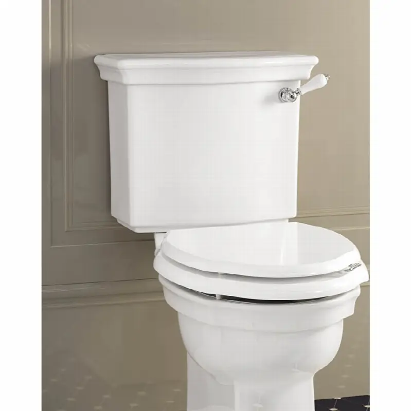 Close Coupled Cistern
