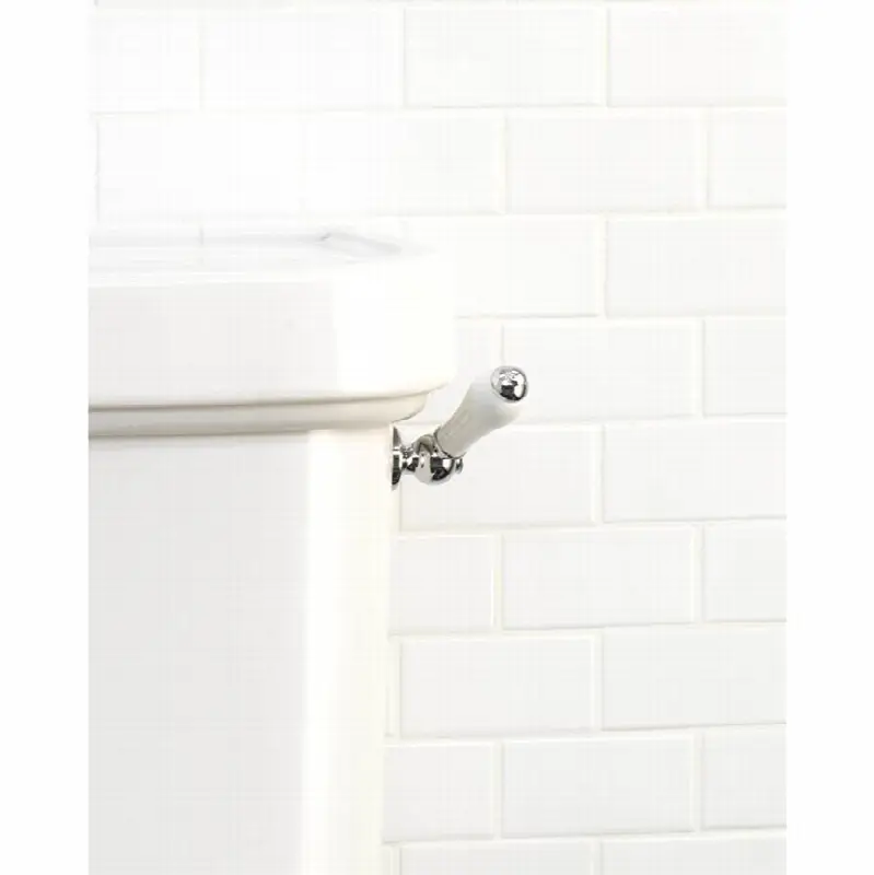 Lever For Close Coupled Cistern