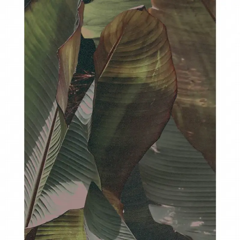 Costarica Wallpaper