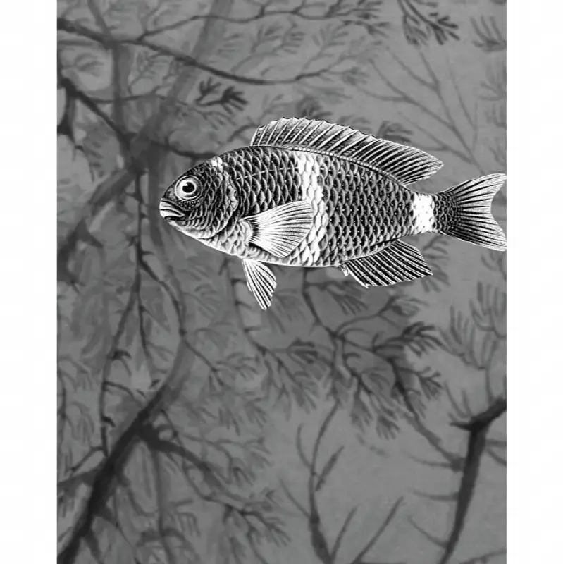 Samoa Wallpaper