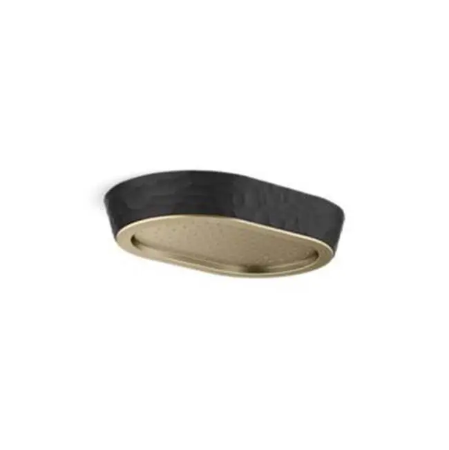 Rain Showerhead, Black Argile™ Band