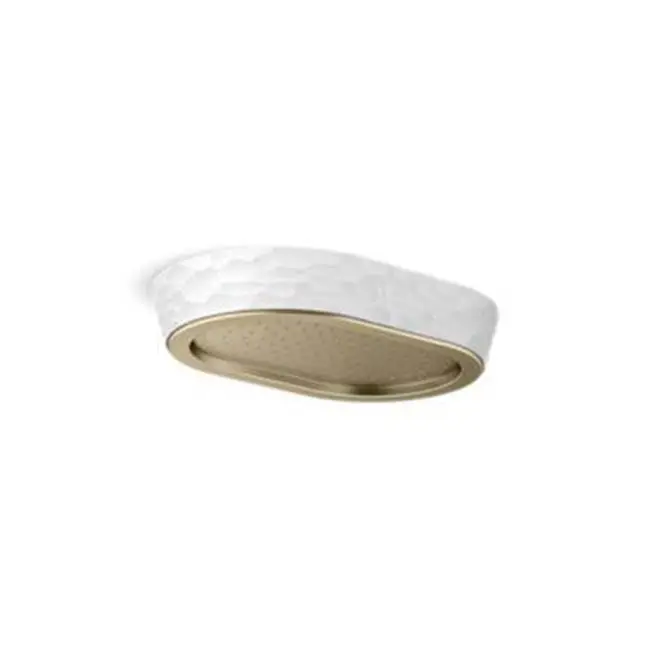 Rain Showerhead, Black Argile™ Band