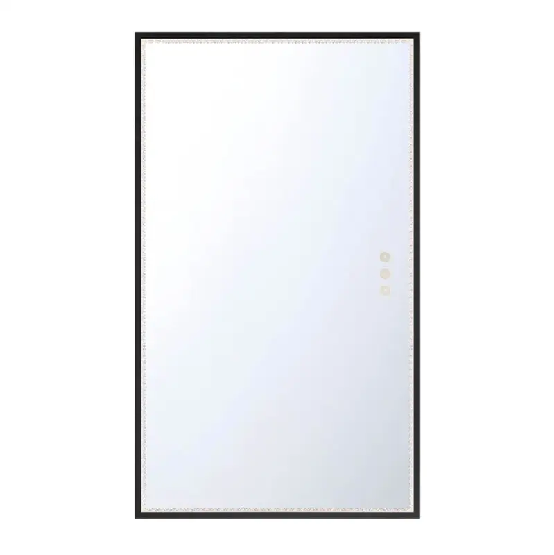 Cerissa, Mirror, 32" X 54", Anodized Black