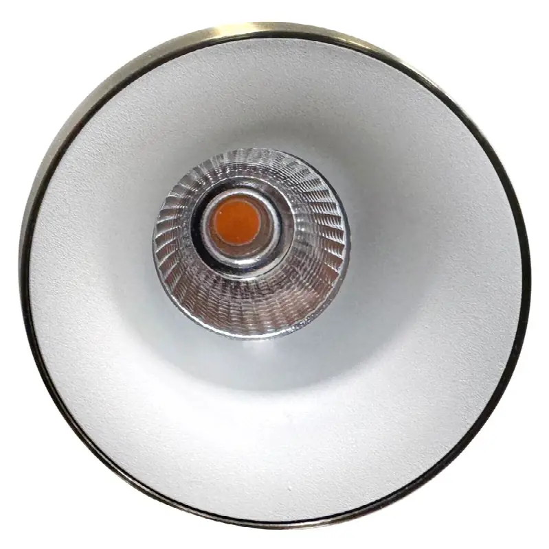 Echo 15W White Trim Wide 3000K Clear Lens Brass Ring