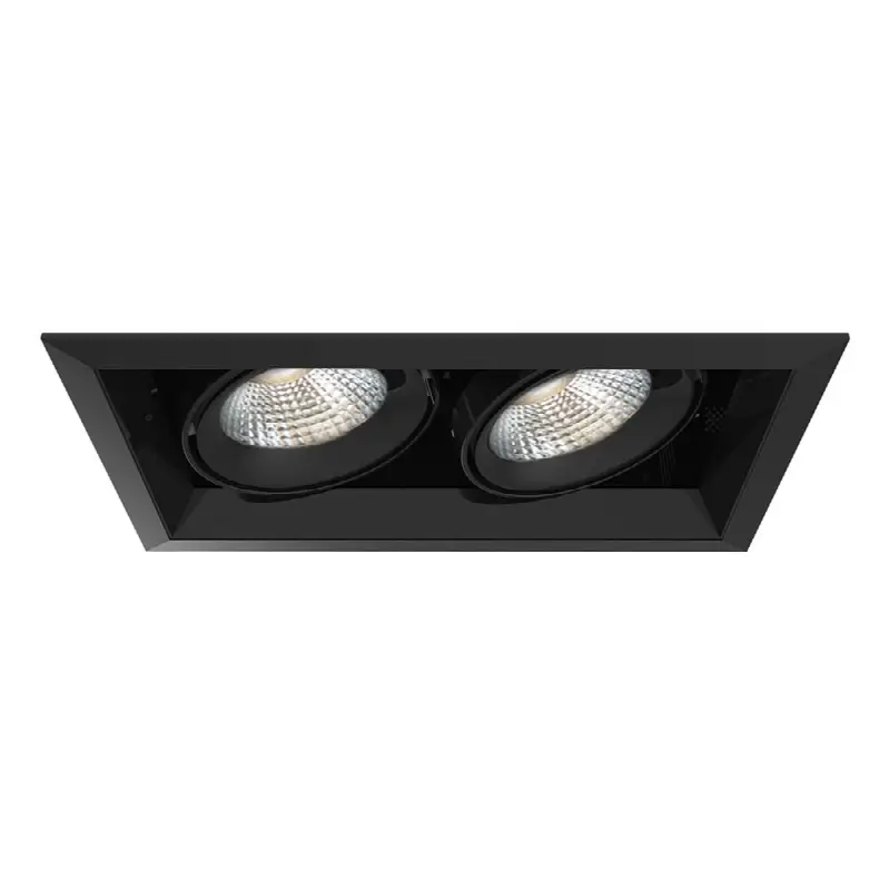 Multiple 26W 2 Lights Trim 20 Degree Gimbal 3000K Black/Black