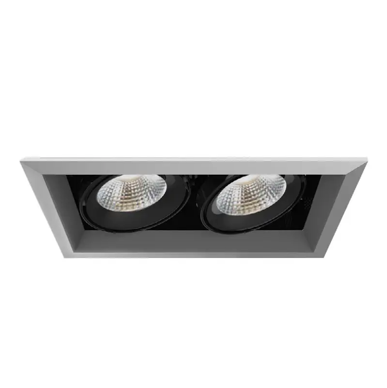 Multiple 26W 2 Lights Trim 20 Degree Gimbal 4000K Platinum/Black