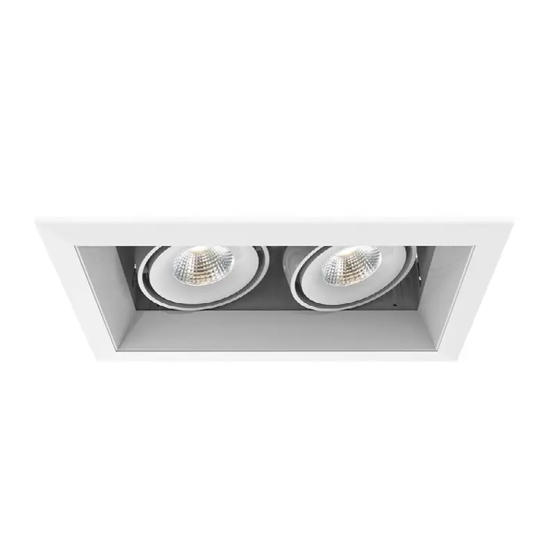 Multiple 15W 2 Lights Trim 40 Degree Gimbal 3000K White/White
