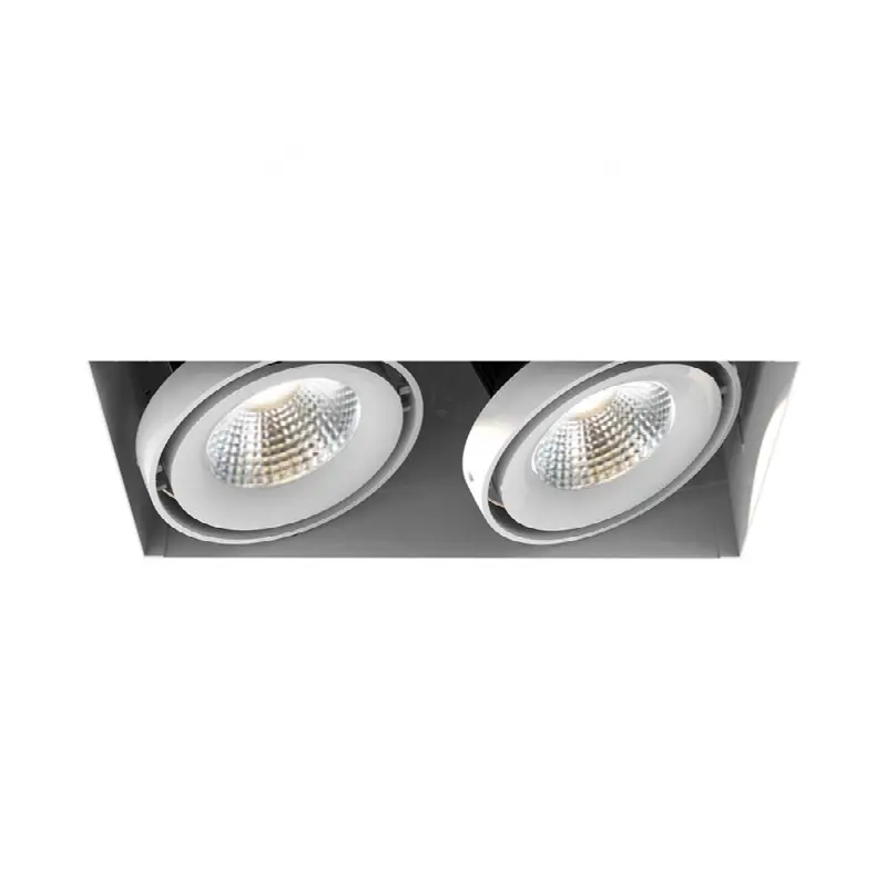 Multiple 26W 2 Lights Trimless 40 Degree Gimbal 3000K White