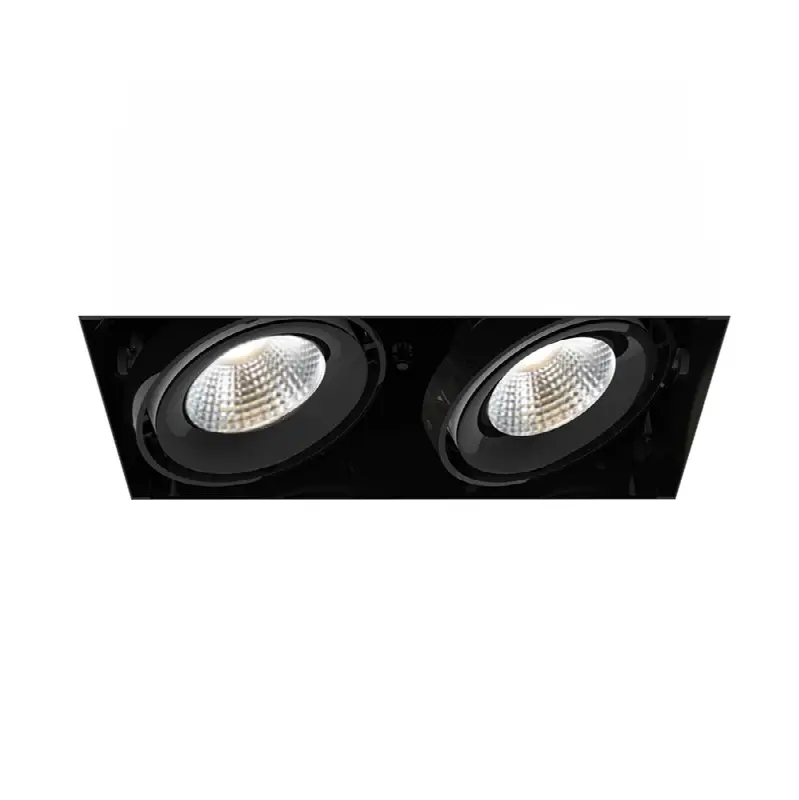 Multiple 26W 2 Lights Trimless 40 Degree Gimbal 4000K Black