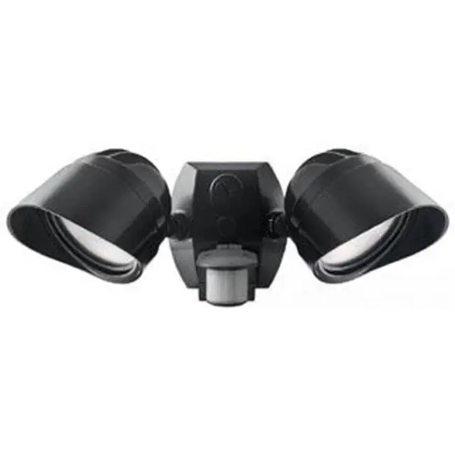 Mp004 C