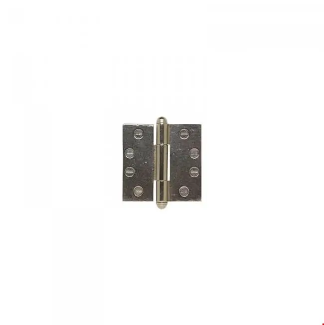 Door Accessories Hinge, each