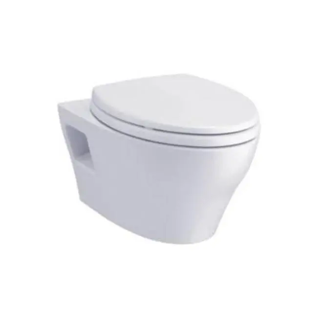EP Wall-Hung Elongated Toilet Bowl with Skirted Design and CEFIONTECT, Cotton White