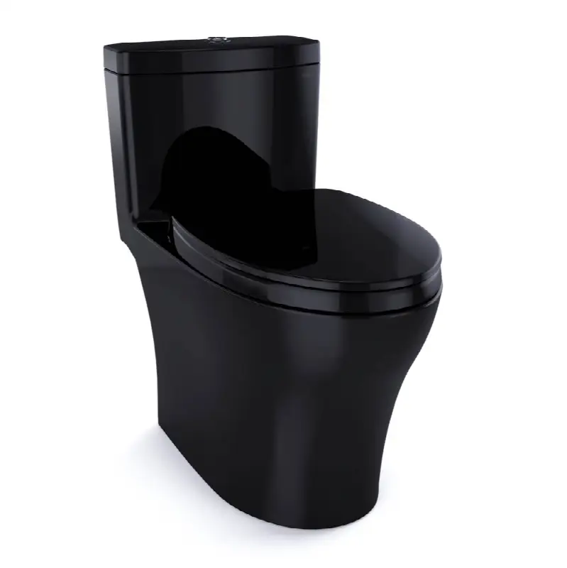 Aquia® IV One-Piece Elongated Dual Flush 1.28 and 0.9 GPF Universal Height, WASHLET®+ Ready Toilet, Ebony